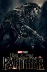 Black Panther Movie Wallpaper 0151